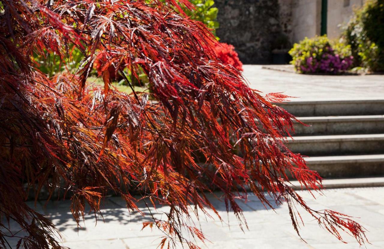 Jardines Pazo a Fabrica Affittacamere Celanova Esterno foto