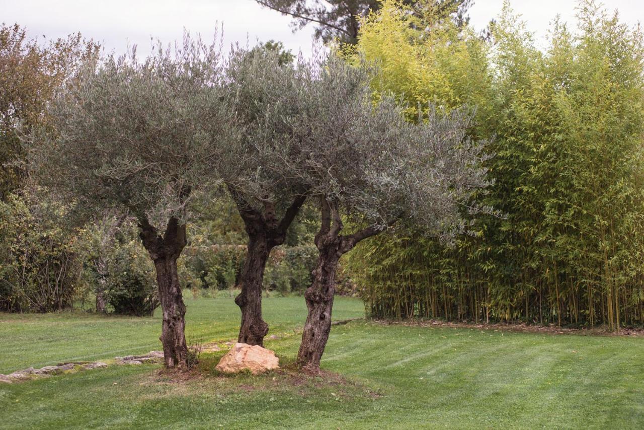 Jardines Pazo a Fabrica Affittacamere Celanova Esterno foto